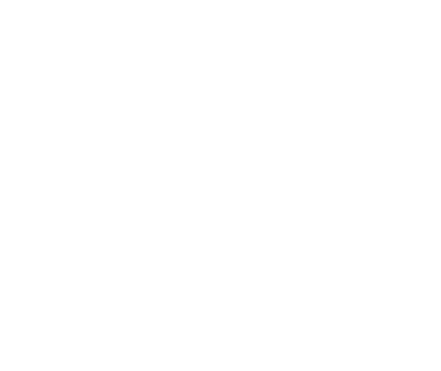 VEMINS